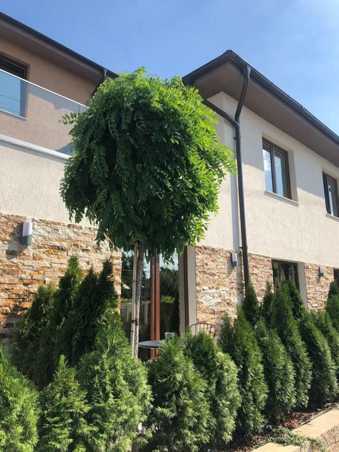 Hotel Yarus Plus Ploieşti Exterior foto